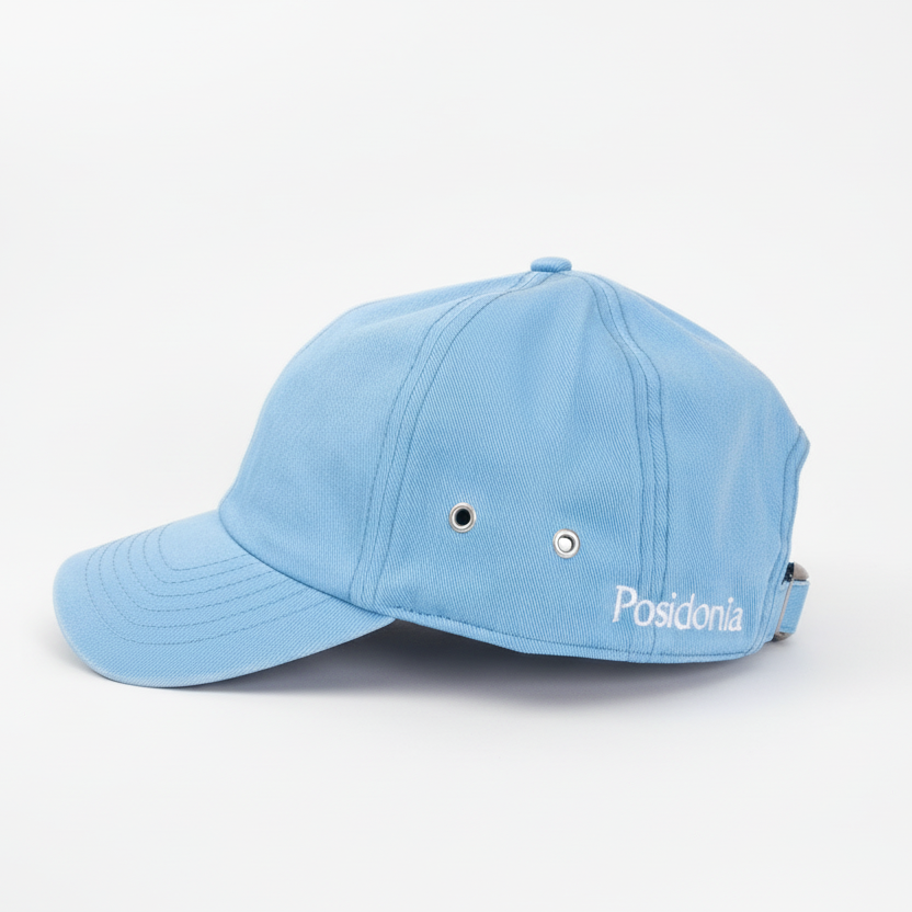The classic: Posidonia cap